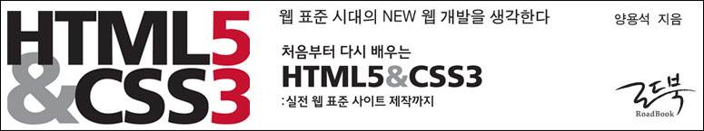 웹 표준 시대의 NEW 웹 개발을 생각한다 처음부터 다시 배우는 HTML5&CSS3:실전 웹 표준 사이트 제작까지